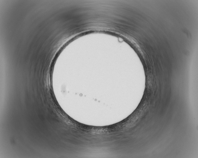 X0000112210887200909181551