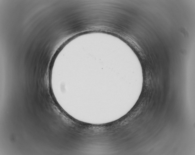 X0000112210888200909181551