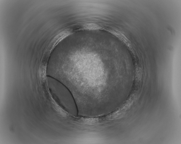 X0000112210889200909181551