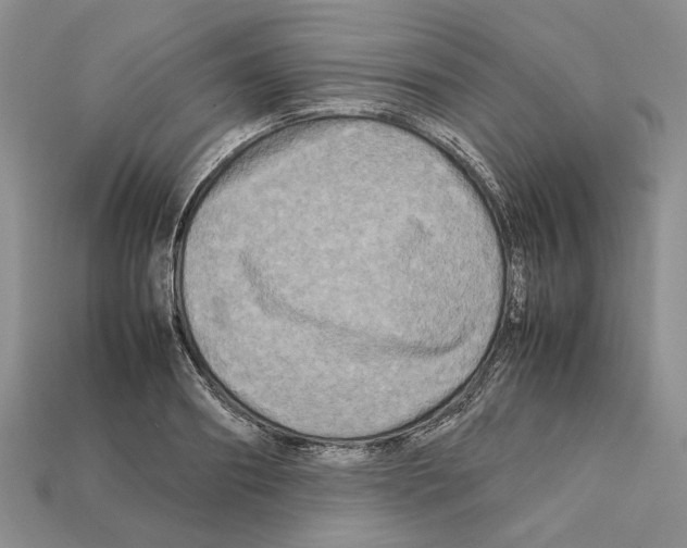 X0000112210890200909181551