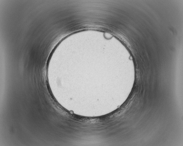 X0000112210891200909181551