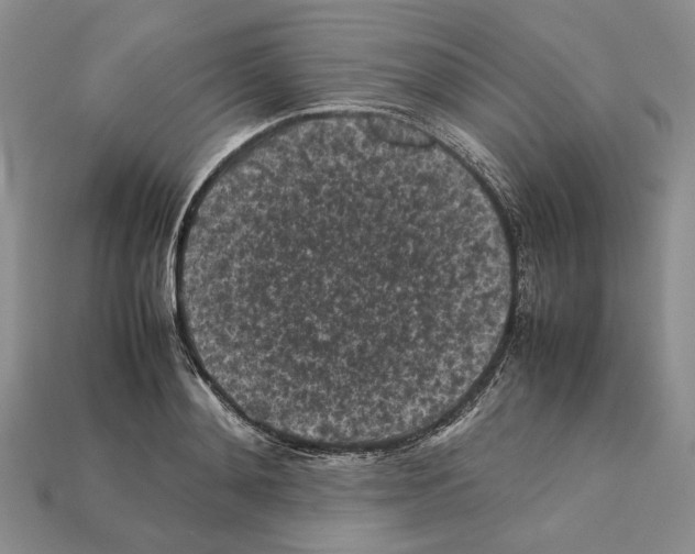 X0000112210892200909181551