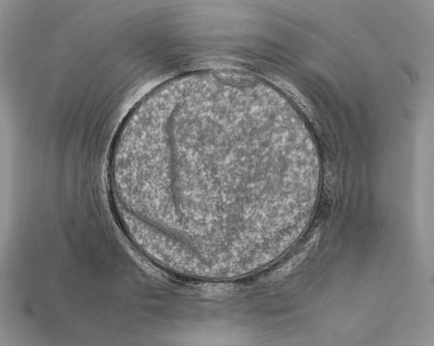 X0000112210893200909181551