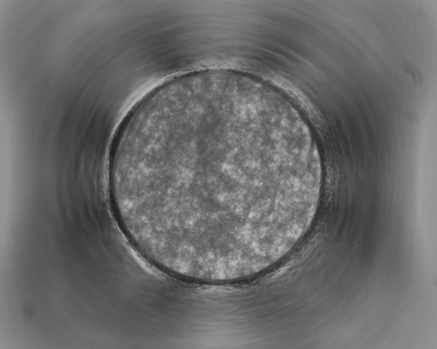 X0000112210894200909181551