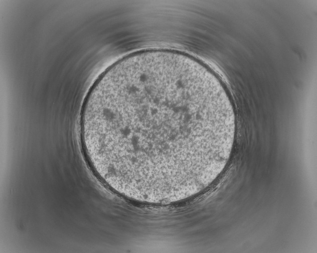 X0000112210895200909181551