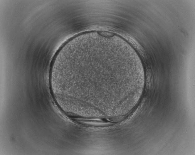X0000112210896200909181551