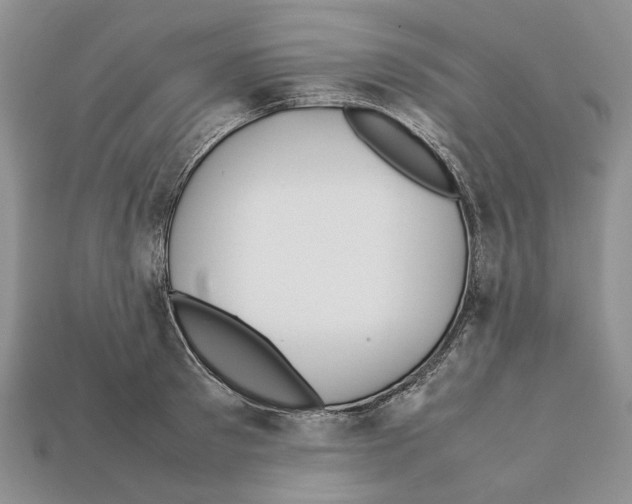 X0000112210897200909181551