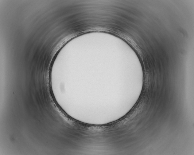 X0000112210898200909181551