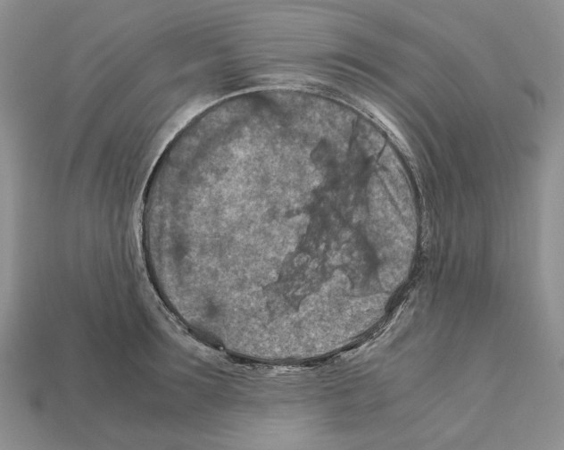 X0000112210899200909181551