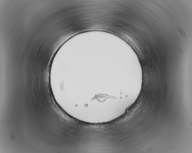 X0000112210900200909181551