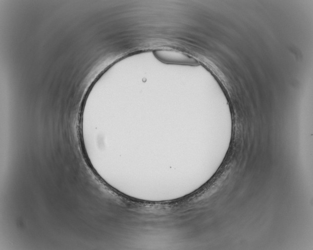 X0000112210901200909181551