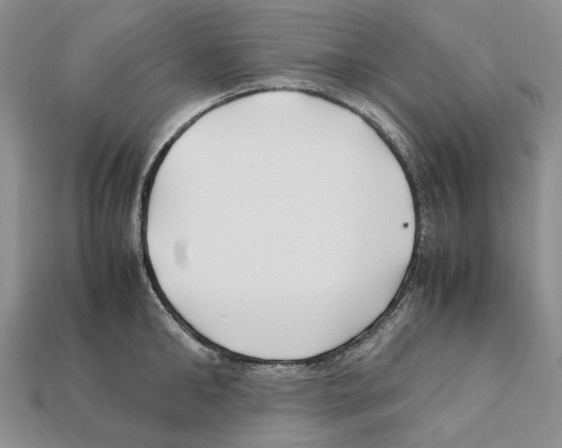 X0000112210902200909181551