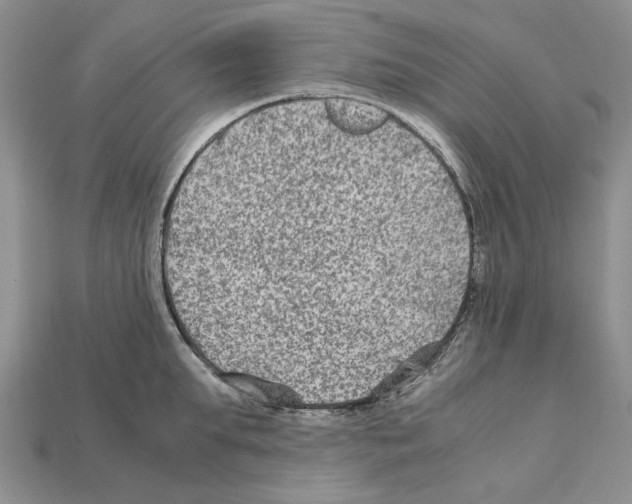 X0000112210903200909181551