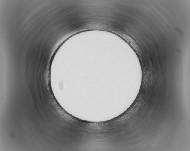 X0000112210904200909181551