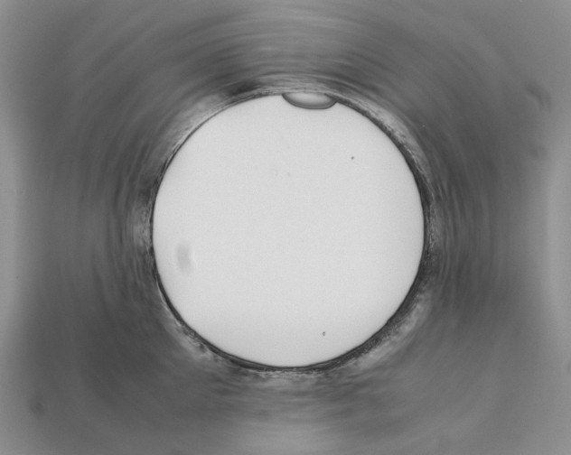 X0000112210905200909181551