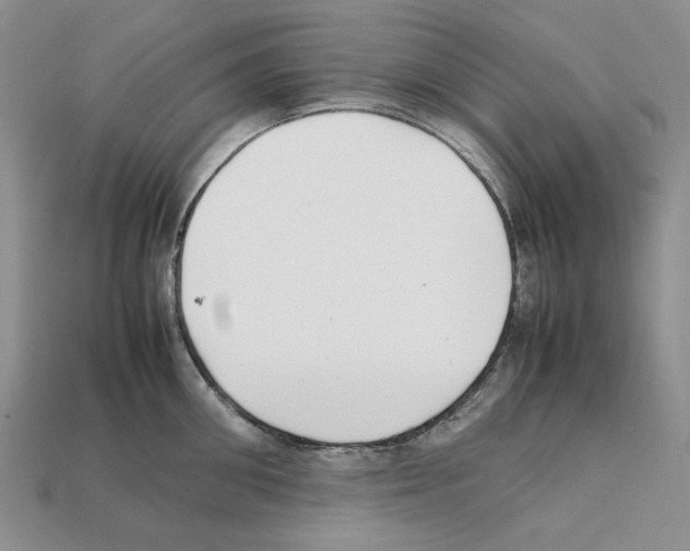 X0000112210906200909181551