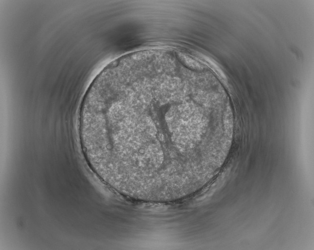 X0000112210907200909181551