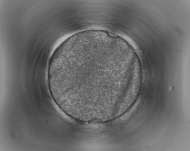X0000112210910200909181551