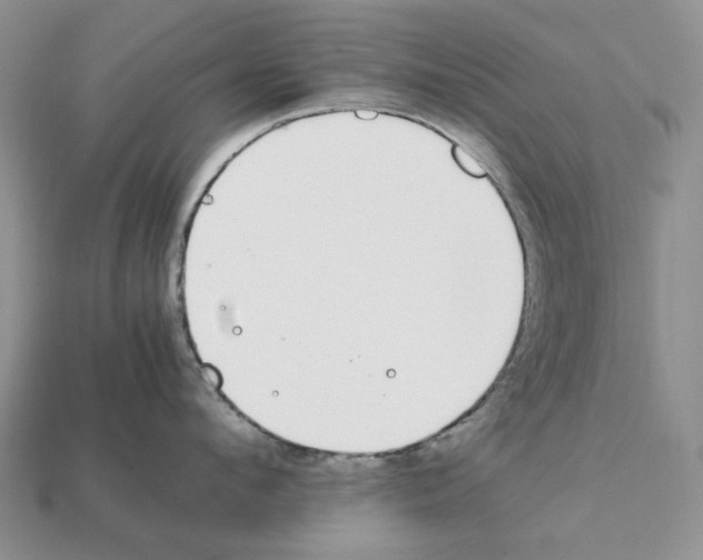 X0000112210912200909181551
