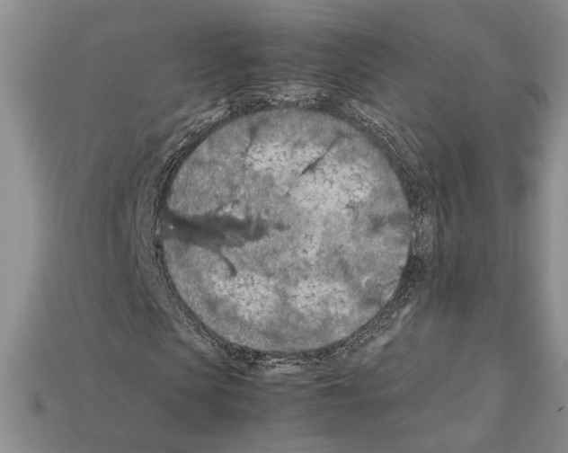 X0000112210913200909181550