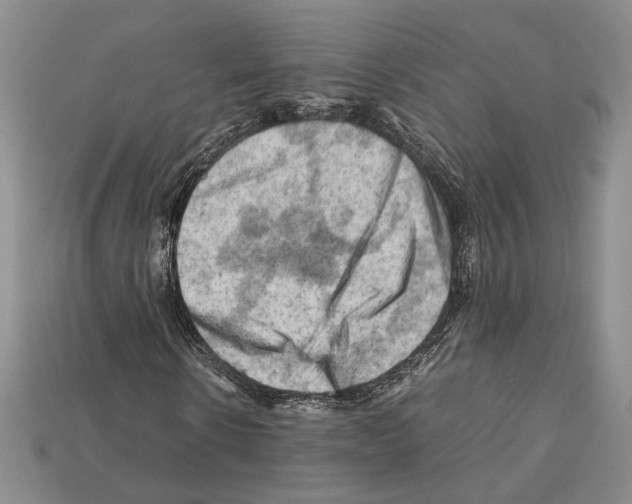 X0000112210914200909181550