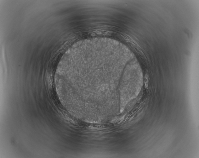 X0000112210915200909181550
