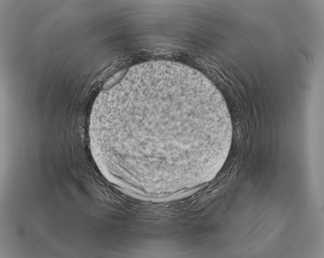 X0000112210916200909181550