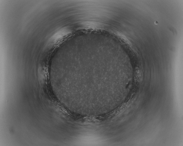 X0000112210918200909181550
