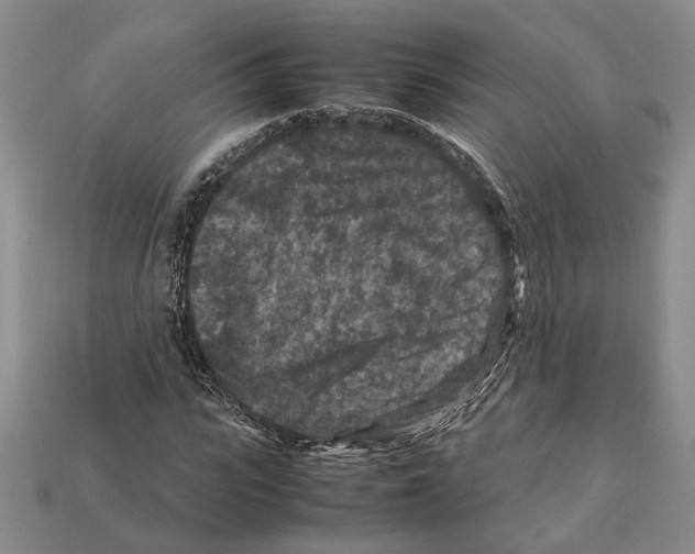 X0000112210919200909181550