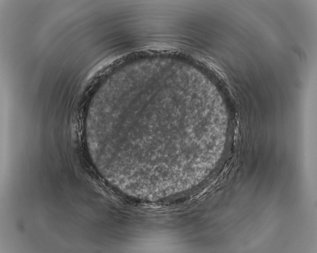 X0000112210920200909181550