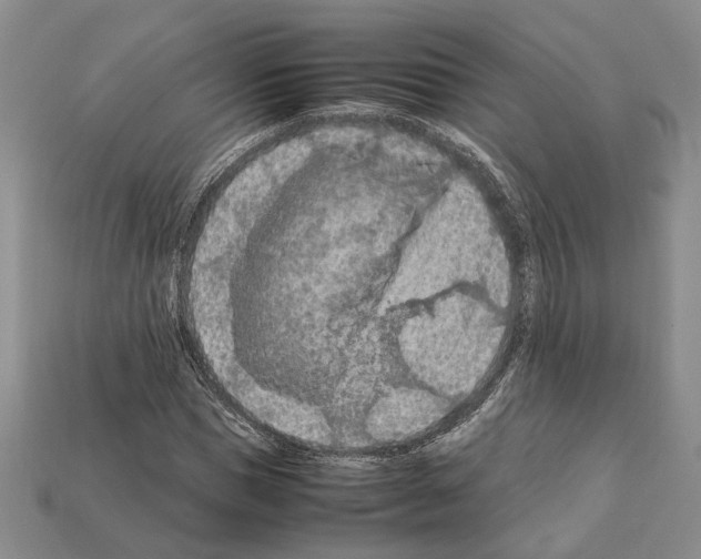 X0000112210921200909181550