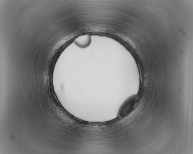 X0000112210922200909181551