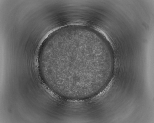 X0000112210923200909181551