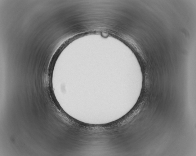 X0000112210924200909181551