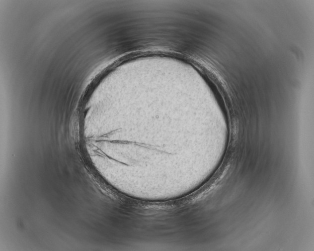 X0000112210925200909181551