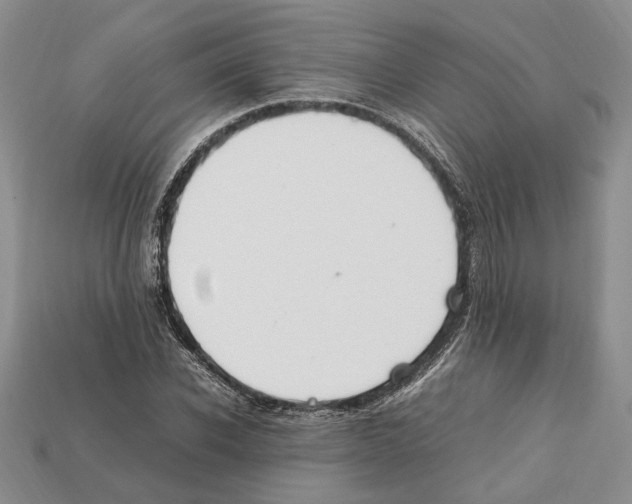 X0000112210926200909181551