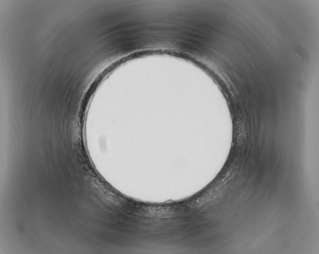 X0000112210927200909181551
