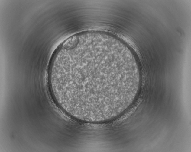 X0000112210928200909181551