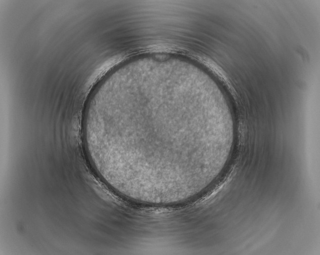X0000112210930200909181551