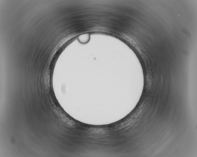 X0000112210931200909181551