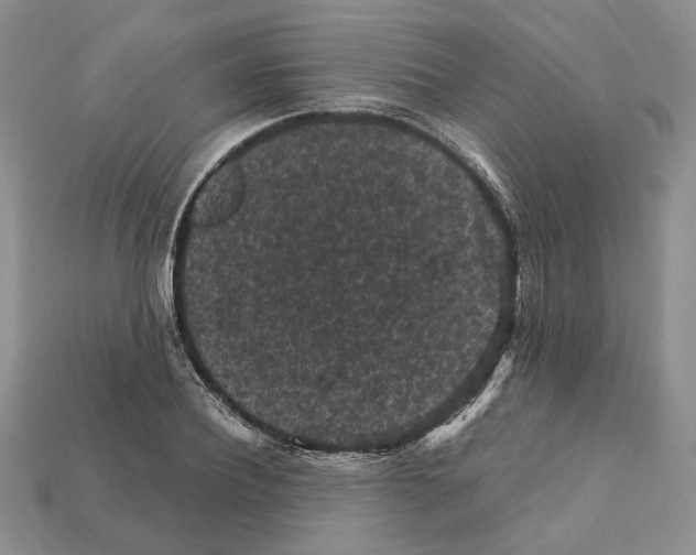 X0000112210932200909181551