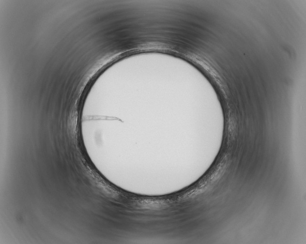 X0000112210933200909181551