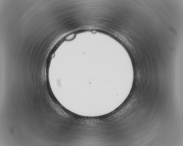 X0000112210934200909181551