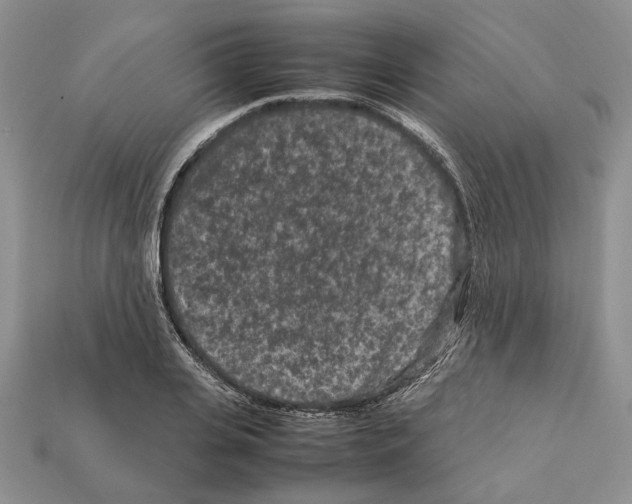 X0000112210935200909181551