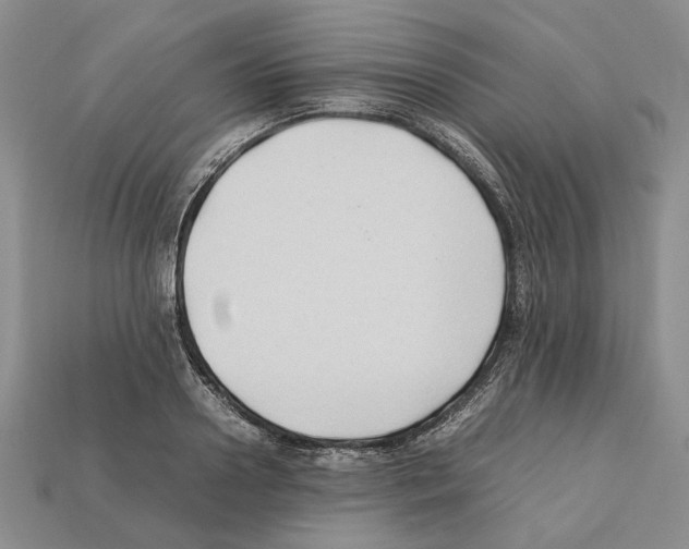X0000112210938200909181551