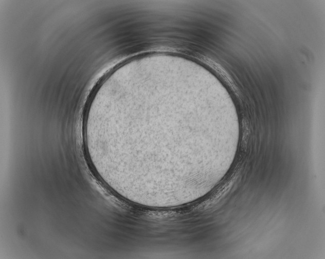 X0000112210939200909181551
