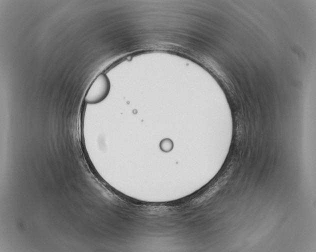 X0000112210940200909181551