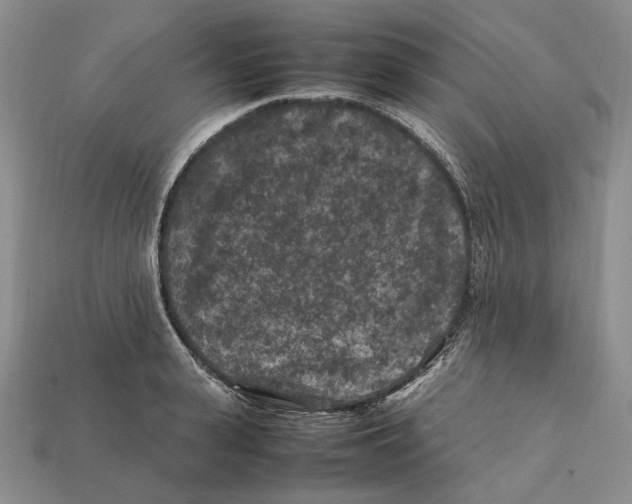 X0000112210943200909181551