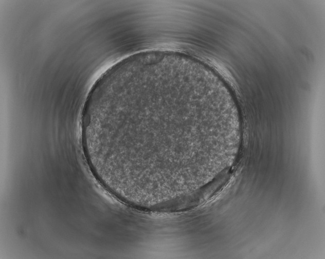 X0000112210944200909181551