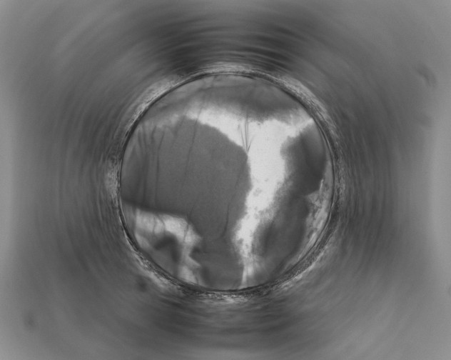 X0000112210945200909181551